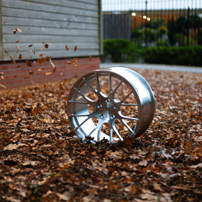 Zento MS3 Monoblock Forged Aluminium Wheel finished in brushed silver, in British autumnal woodland